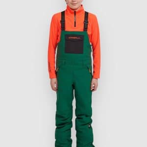 O'Neill Fwc'Cruz Kids Bib Pants emerald envy colour block