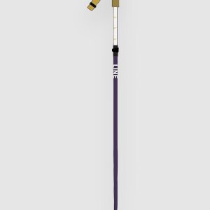 Line Paintbrush 2026 Skistöcke design