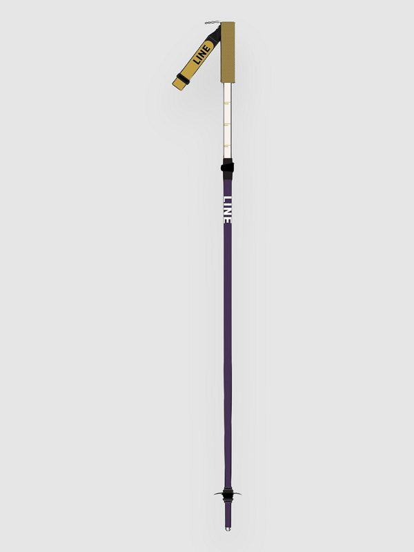 Line Paintbrush 2026 Skistöcke design