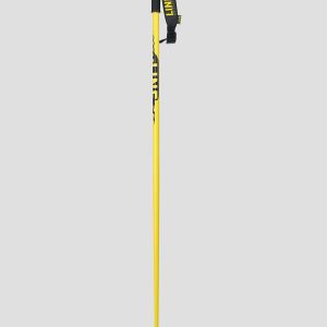 Line Pin 2024 Skistöcke design