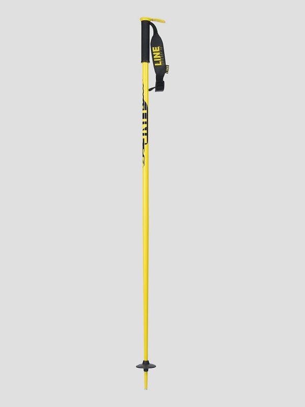 Line Pin 2024 Skistöcke design