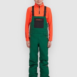 O'Neill Fwc'Cruz Kids Bib Pants emerald envy colour block