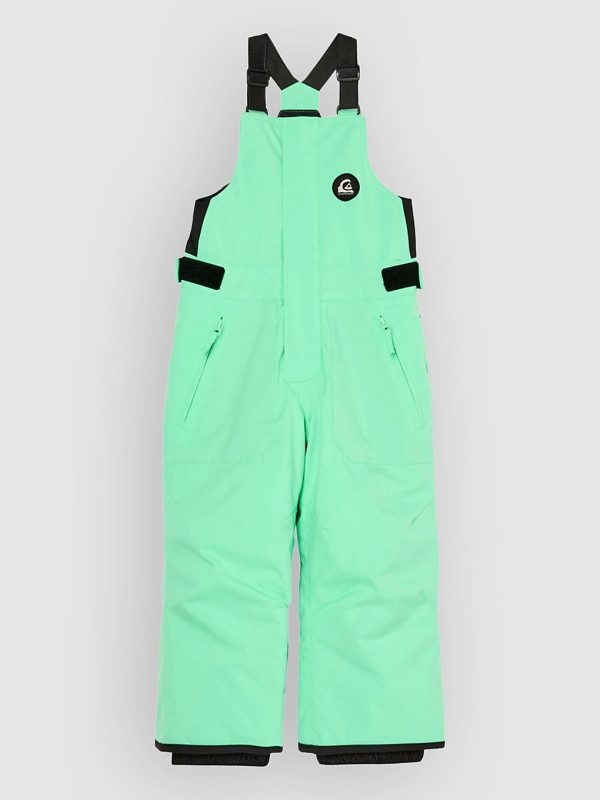 Quiksilver Boogie Kids Hose spring bouquet