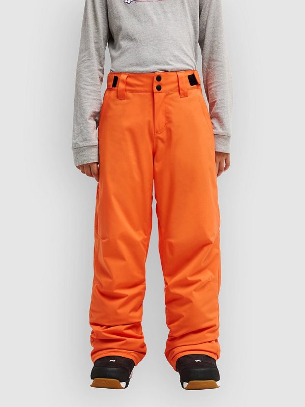 Quiksilver Estate Kids Hose vermillon