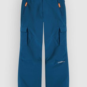 O'Neill Fwc'Cruz Cargo Kids Hose regal blue