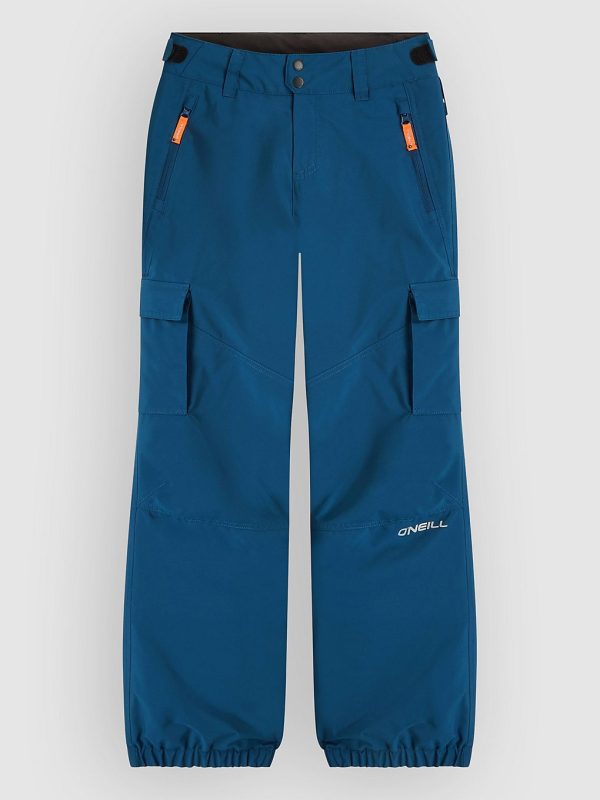 O'Neill Fwc'Cruz Cargo Kids Hose regal blue
