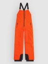 O'Neill Fwc'Cruz Kids Bib Pants tokyo lights