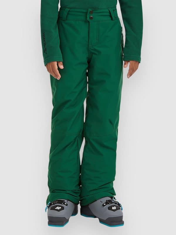 O'Neill Fwc'Cruz Kids Hose emerald envy