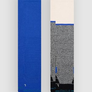 Stance Dook Mid Poly Snow 2 Pack Funktionssocken blue
