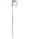 Völkl Phantastick 120 2023 Skistöcke purple