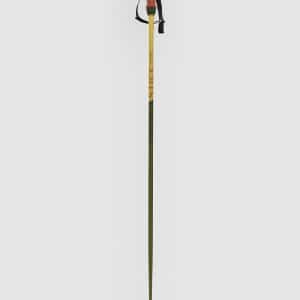 Völkl Phantastick 16mm Poles 2025 Skistöcke green