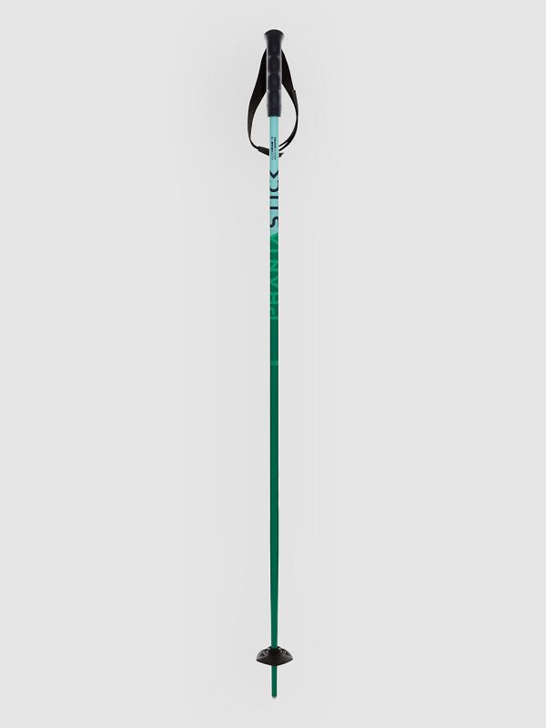 Völkl Phantastick Jr Poles 2025 Skistöcke green