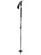 BCA Scepter Skistöcke black