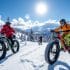 Welcher Carving-Ski ist der richtige für mich? – Modelle, Beispiele, Empfehlungen