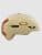 Oakley MOD BC Helm matte desert tan / ginger