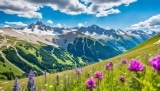 Wo kann ich Skifahren im Sommer in Frankreich? – Skigebiete für den Sommer in Frankreich finden