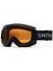 Smith Cascade Classic Black Goggle rc36 rosec af