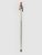 Völkl Phantastick 16mm Poles 2025 Skistöcke green