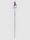 Völkl Phantastick W Poles 2025 Skistöcke silver